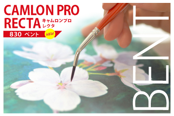 キャムロンプロ レクタ