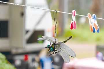 お出かけのお守り オニヤンマ